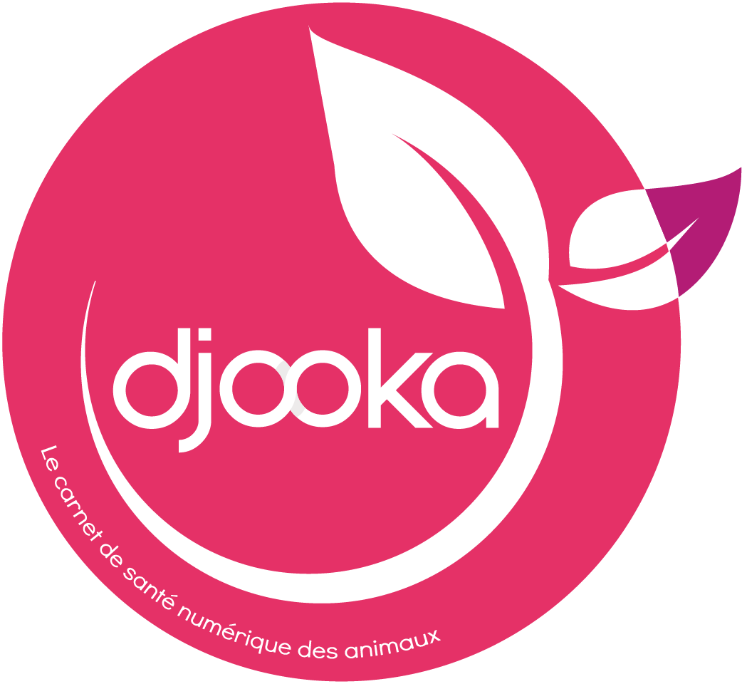djooka, le label des professionnels connectés !