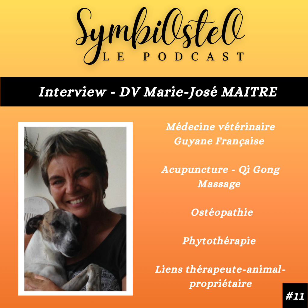 Episode #11 DV Marie-José Maitre