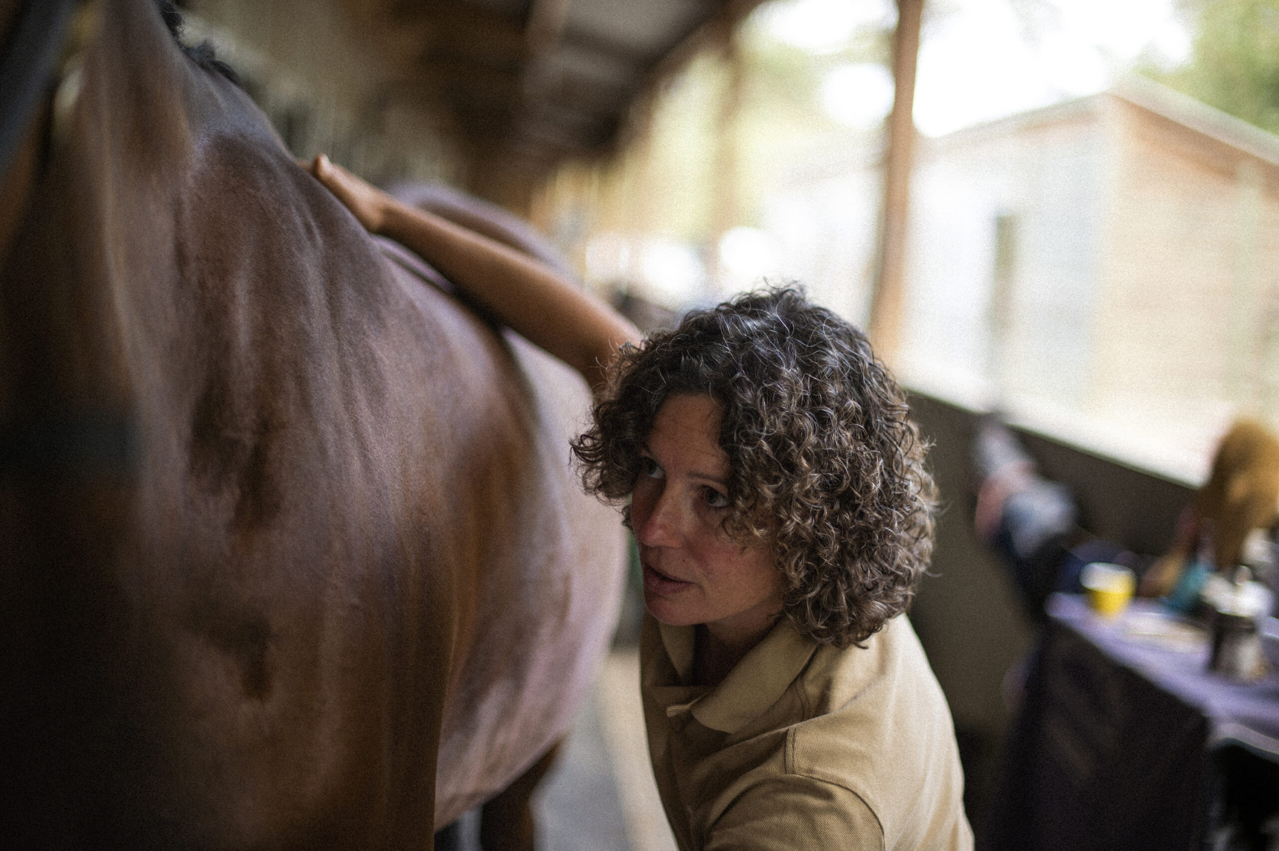 Ostéopathie animale, mobilisations non-instrumentales et non forcées.