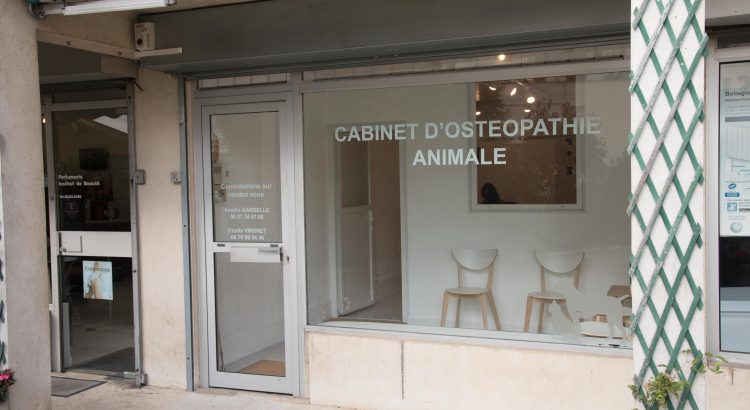 Le cabinet d'ostéopathie animale d'Amélie Gardelle